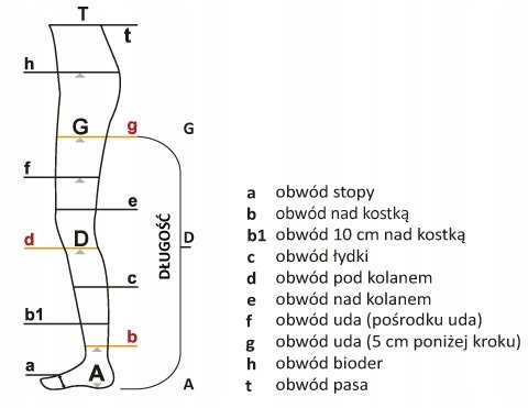 ARIES AVICENUM RAJSTOPY UCISKOWE NA ŻYLAKI 1 STOPNIA CCL1 L LONG