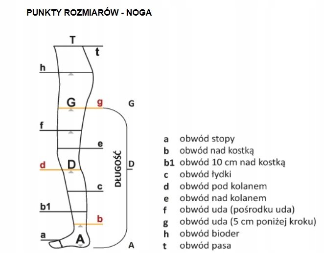 ARIES AVICENUM PODKOLANÓWKI UCISKOWE 360 2 STOPNIA PALCE OTWARTE M NORMAL