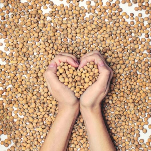 TERMOFOR Z PESTEK WIŚNI Z POKROWCEM EKOLOGICZNY WZÓR BERRY DUŻY 20x60cm