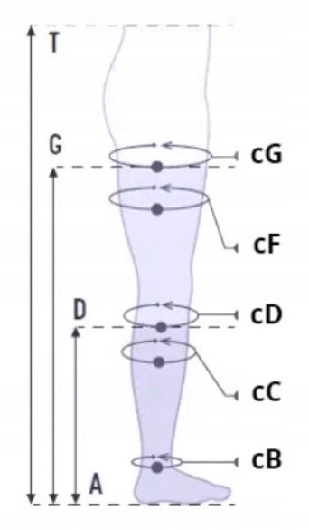 PANI TERESA POŃCZOCHY 1 STOPNIA CCL1 PALCE ZAKRYTE