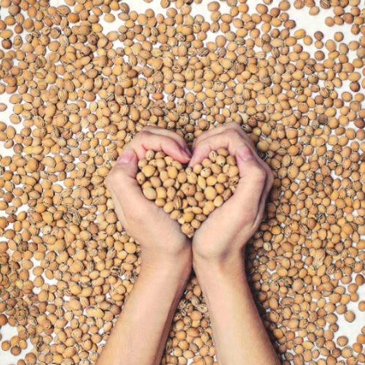 TERMOFOR Z PESTEK WIŚNI Z POKROWCEM WAFEL SZARY EKOLOGICZNY DUŻY 20x60cm