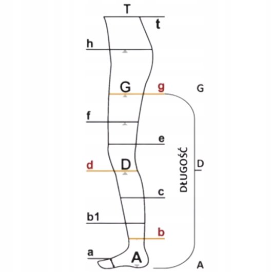 ARIES AVICENUM PODKOLANÓWKI CIENKIE FINE 360 2 STOPNIA XL LONG ODKRYTE