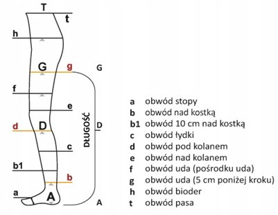 ARIES AVICENUM RAJSTOPY UCISKOWE NA ŻYLAKI 1 STOPNIA CCL1 L LONG