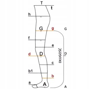 ARIES AVICENUM PODKOLANÓWKI CIENKIE FINE 360 2 STOPNIA XXL LONG ODKRYTE