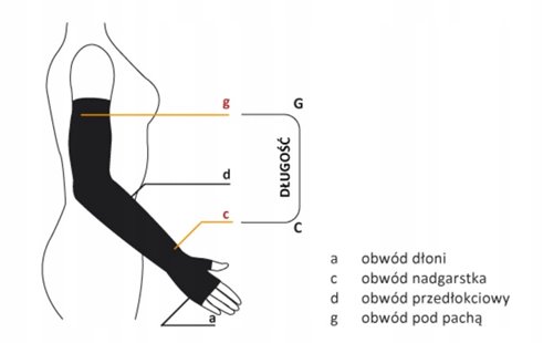 ARIES AVICENUM RĘKAW UCISKOWY 2 STOPNIA 360 23-32mmHg Z LAMÓWKĄ S NORMAL