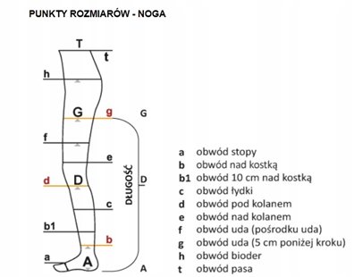 ARIES AVICENUM PODKOLANÓWKI UCISKOWE 360 2 STOPNIA PALCE OTWARTE L NORMAL