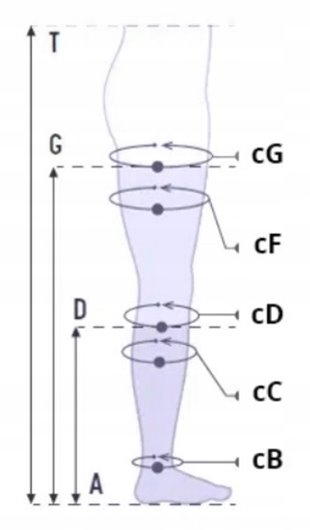 PANI TERESA POŃCZOCHY 1 STOPNIA CCL1 PALCE ZAKRYTE