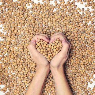 TERMOFOR Z PESTEK WIŚNI Z POKROWCEM MINKY SZARY EKOLOGICZNY DUŻY 20x60cm