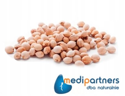 TERMOFOR Z PESTEK WIŚNI MEDYCZNY NA BÓL BAWEŁNA 100% MIŚ W LESIE